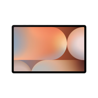 갤럭시페스타 갤럭시탭 S10 울트라 256GB 512GB 1T 와이파이 삼성 태블릿 색상선택가능, 플래티넘실버, 1TB, Wi-Fi
