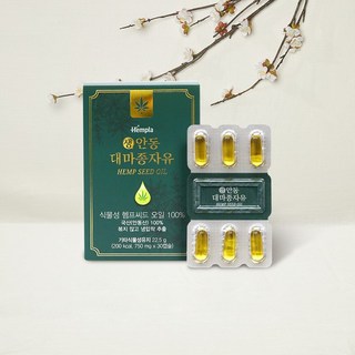 안동 대마종자유