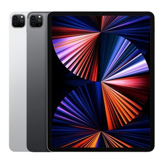 Apple 아이패드 프로 12.9 5세대 M1칩, 스페이스 그레이, 512GB, Wi-Fi