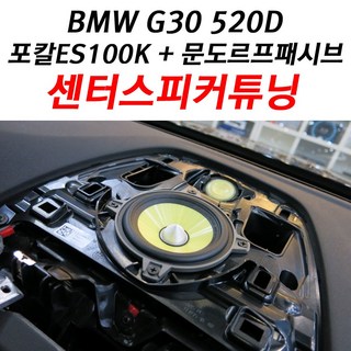 BMW G30 520D 포칼 ES100K 센터스피커