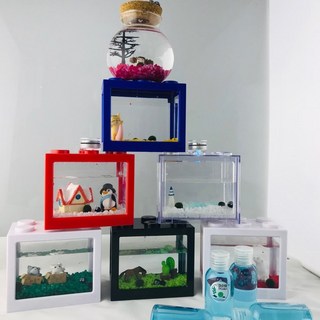 마리모세트 피규어구성 led마리모 마리모밥증정, 9세트