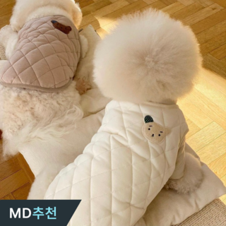 1. 드로우데이즈 강..