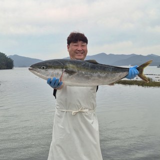 산지로드 당일작업 자연산 중방어회 3인분, 2개, 500g