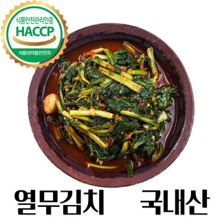 국내산 재료로 정성껏 만든 전라도 열무김치, 1개, 5kg