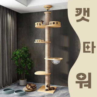 4. 위시썬 튼튼 갯..