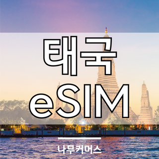 태국 eSIM 이심 AIS DTAC 데이터 통화, 매일2GB, 5일, 1개