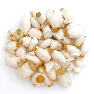 맛통령 미니 새송이버섯, 1개, 새송이버섯 3kg