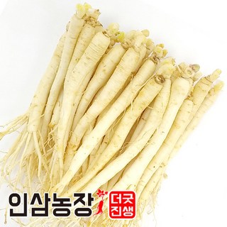 인삼 수삼 금산인삼 세척 원수삼 더굿진생, 1개, 세척인삼450g(34~41뿌리)