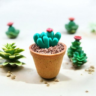 화분까지 먹는 다육이 축전 하트선인장 슈가 컵케이크 만들기 키트 세트 DIY, 1개, 100g