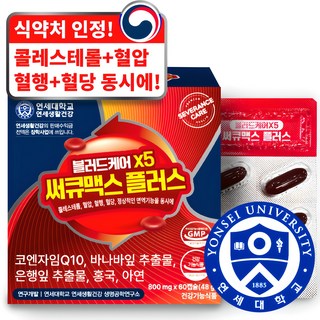 연세 헬스케어 블러드케어 X5 써큐맥스 플러스, 60정, 1개