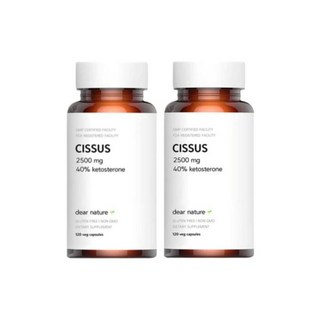 (2병) 디어네이쳐 시서스 2500mg 120캡슐 해외현지 코스트코 아이허브 미국 직구, 120정, 2개