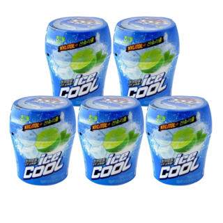 해태제과 아이스쿨 껌 82g 묶음행사 5개 상품 이미지