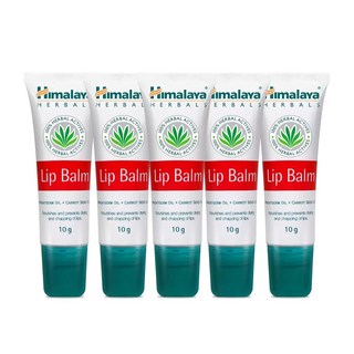 히말라야립밤 10g X 5입 입술관리 입술보호제, 5개