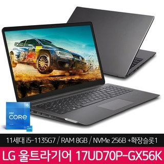 LG전자 울트라PC 17UD70P-GX56K