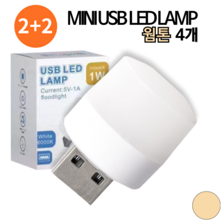 3. 팩플 USB 미..