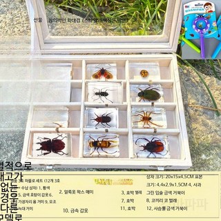 곤충 표본 상자 DIY 학습용 과학교구 세트 나비 사슴벌레 장수풍뎅이 관찰 실험 교육 선물용 장식 수집용 아이들 방학숙제 체험, 파브르 12개 세트 3호