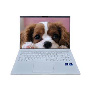 1. LG 그램 15..