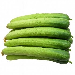 맛통령 백다다기 오이, 1개, 백오이 4kg(20개내외)