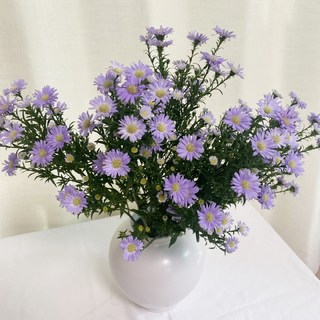 보라색 공작초 꽃다발