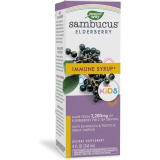 Natures Way 네이쳐스웨이 Sambucus Elderberry 시럽 Echinacea 프로폴리스 베리 맛 8oz 240ml, 8 Fl Oz (Pack of 1), 1개