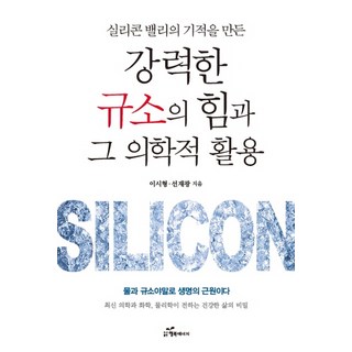 4. 실리콘 밸리의 ..