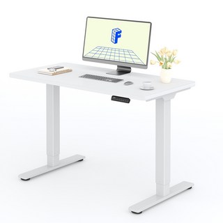 FlexiSpot 듀얼모터 모션데스크