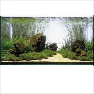 LED 스크린 200x200 수족관 백라이트 수조장식 RGBW 무드등 조명 백스크린, 40 30 하이라이팅 화이트 앱 밍