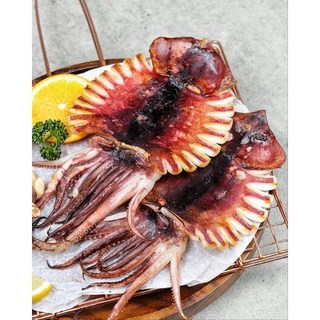 반건조 피데기 오징어 10마리 [원산지:원양산(대서양)], 1세트, [대] 10마리(1.6kg 내외)