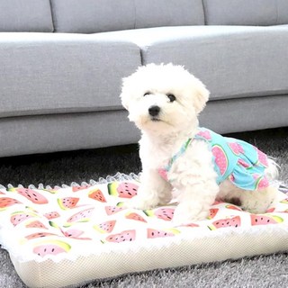 개과천선 프루트 메쉬 강아지 사각 방석 레이스 애견 예쁜 꿀잠 침대 꽃 쿠션 과일 쿠션, 1개