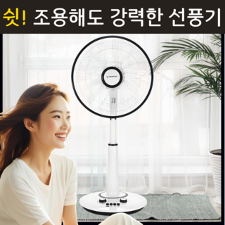 1. 테르톤 무소음 ..