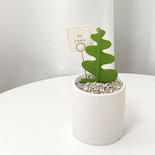 피쉬본 생선뼈 선인장 키우기 인테리어식물 무광세라믹(받침포함) 1개 상품 이미지