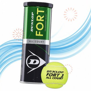 DUNLOP 던롭 테니스 공 볼 테니스공 Fort 올 코트 TS 클레이 하드 잔디 YA