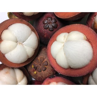 [피프팜] 항공직송 태국 망고 스틴 열대과일, 1박스, 3kg