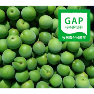 나영이네 농장 하동매실