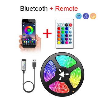 블루투스 USB LED 스트립 빛 5050 SMD 5V RGB 조명 유연한 램프 테이프 리본 자체 접착 TV 데스크탑 다이오드, Bluetooth IR, 10m, 1개