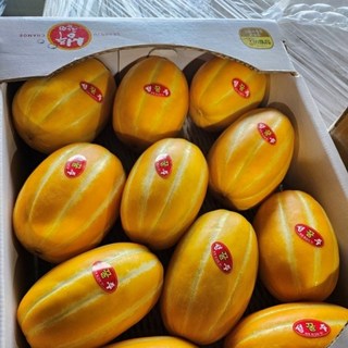 달콤참참 성주참외, 1개, 중과/5kg