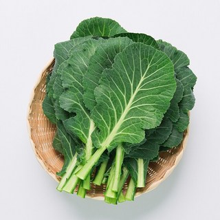 늘바른 국내산 친환경 무농약 쌈케일 100g 6봉, 6개