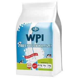 원데이뉴트리션 초코맛_단백질 쉐이크 헬스 보충제 포대 분리 유청 웨이프로틴 뉴 리얼 WPI 프로틴, 1개, 2kg