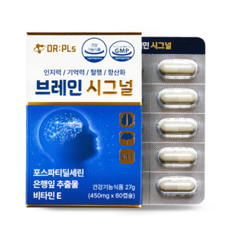 뇌영양제추천