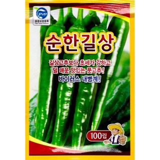 사카타코리아 순한길상 100립 길상고추 풋고추 순한맛 바이러스 내병계