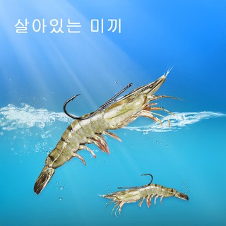뉴프렐류드 낚시바늘 새우 고정, 1개, 10개입