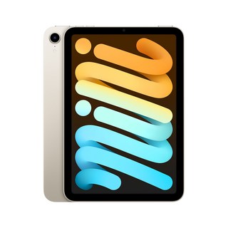 애플 아이패드 미니 6세대 스타라이트 와이파이 64GB 관부가세포함, Wi-Fi, 기본