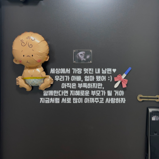 커멘드에스 임밍아웃 남편 현관문 시트지
