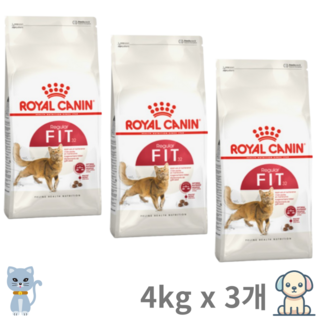 로얄캐닌 고양이 건식사료 피트, 다이어트(체중유지), 12kg, 4개