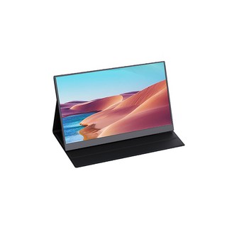 에코비 15.6인치 FHD 포터블 모니터, P156A06-WP16A, 39.62cm