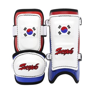 스사노 암풋가드세트