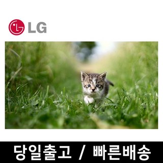 1. LG 43인치 ..
