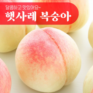 충북 음성 감곡 장호원 햇사레복숭아 백도 황도 부드러운 딱딱 복숭아 과일 중과 대과 3kg 4kg, 1박스, 3kg (13~14과)