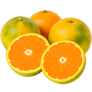 만들어봄 제주 하우스감귤 여름제철감귤 프리미엄 가정용 선물용 2kg 3kg 5kg 제주농장직송, 1개, 2kg (2S 소과) 가정용