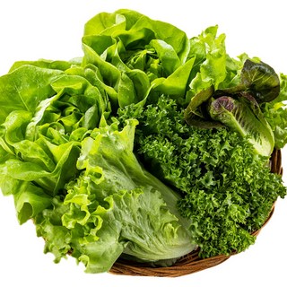 무농약 당일수확 유러피안 샐러드(4-5종), 1개, 1kg